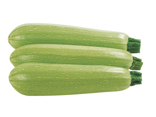 Courgette