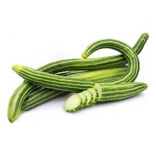 Concombre Long