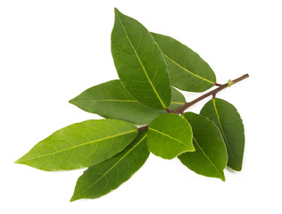 Laurier Frais