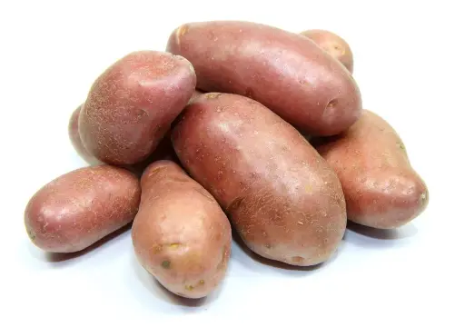 Pomme De Terre Frite