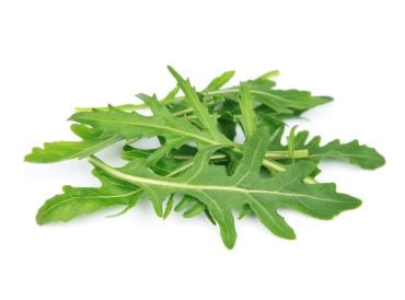 Roquette