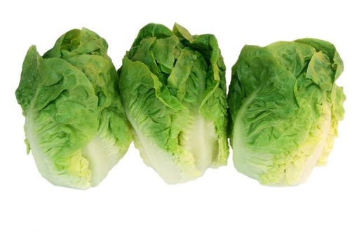 Salade Sucrine