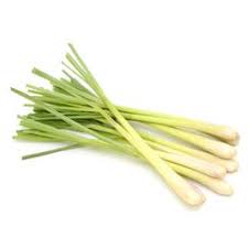 Citronnelle