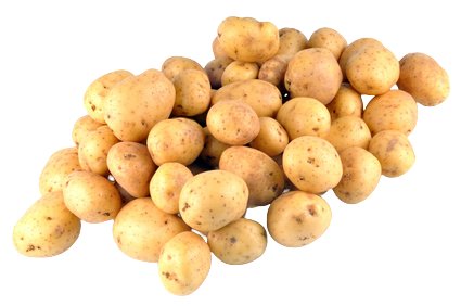 P.D.T Nouvelle Blanche