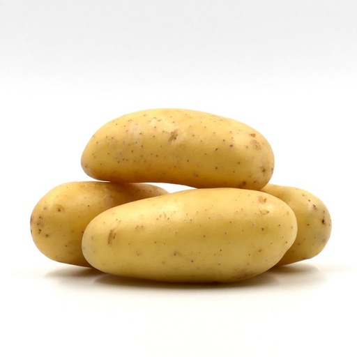 Pomme De Terre Frite Blanche