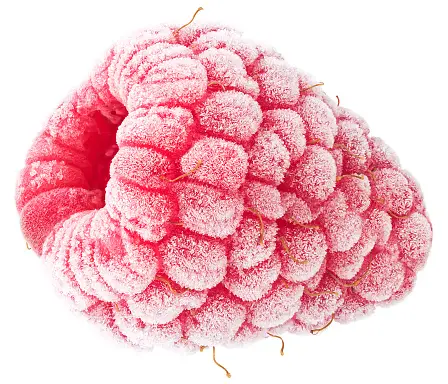 Framboise Congelée (10KG)