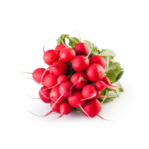 Radis Rouge