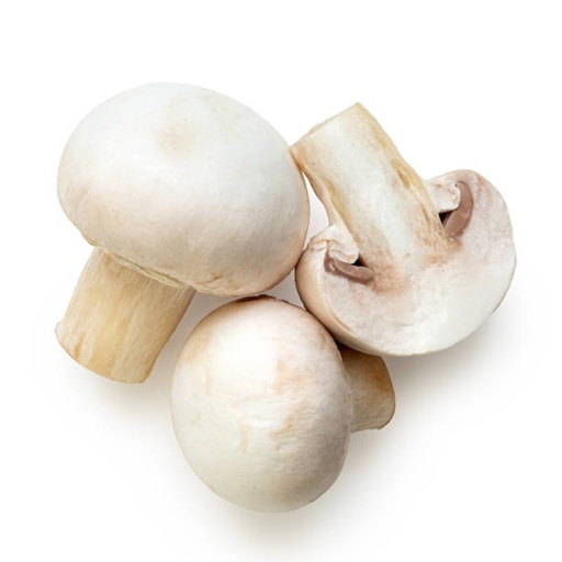 Champignon De Paris (Import)