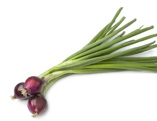 Oignon Végétal Rouge Avec Tige